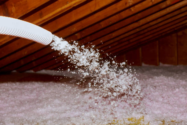 Best Residential Insulation in Bastrop, TX